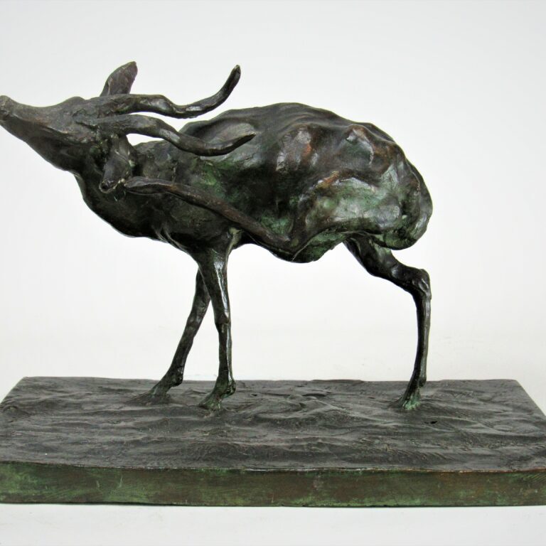 Guido Righetti: Antilope