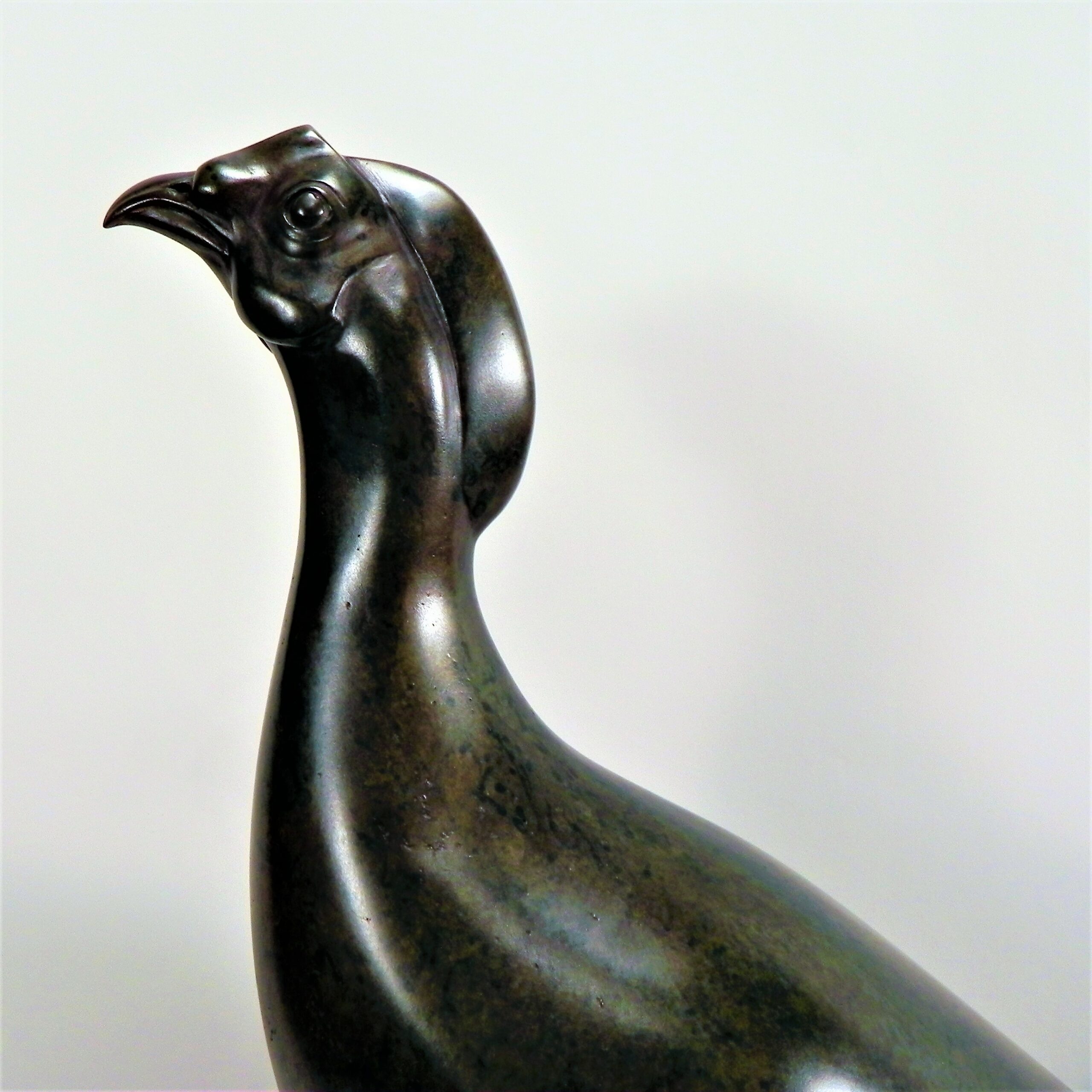 Profillet Anne-Marie: Golden Pheasant